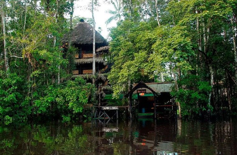 Amazon Rainforest (Cuyabeno), Sucumbíos Province, Ecuador